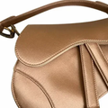 Mini Saddle Blush Bag – Dr
