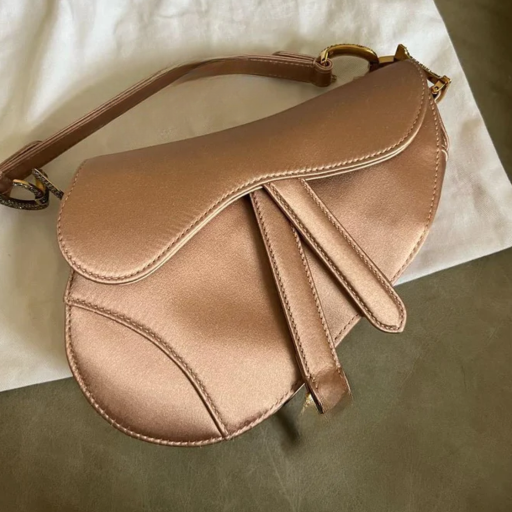 Mini Saddle Blush Bag – Dr